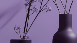 Yasunari Murayama – Lummi.ai Motion Graphics Edition